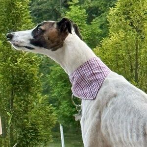 Handmade Up-cycled Dog Bandana